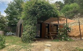 Maison En Bois A Entrechaux